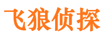 莆田侦探取证